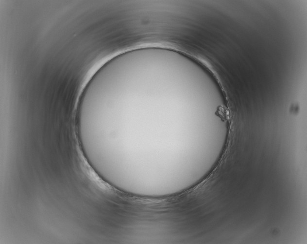 X0000110731140200907101422