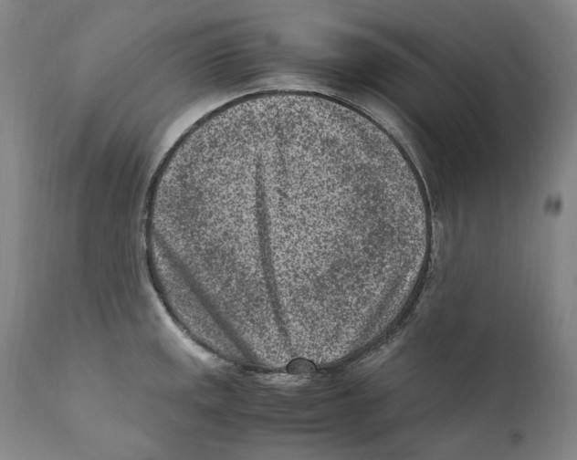 X0000110731141200907101422