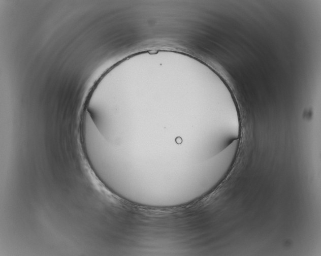 X0000110731144200907101422