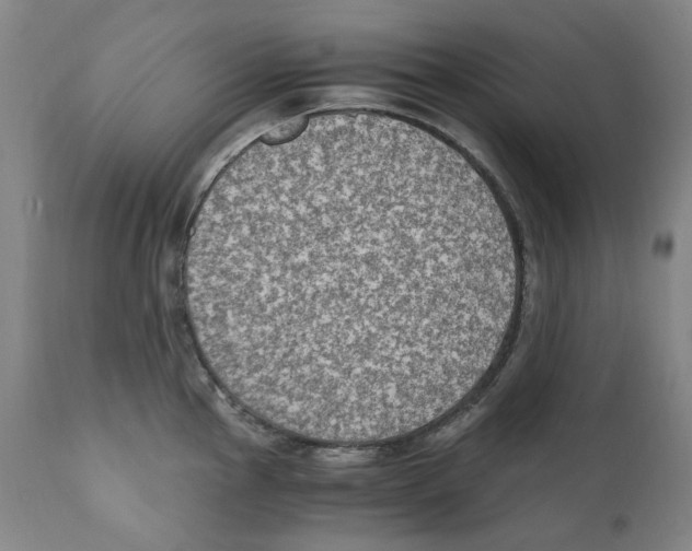 X0000110731145200907101422