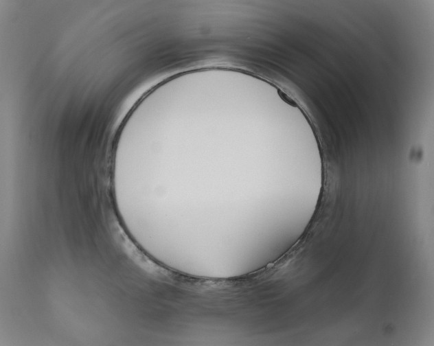 X0000110731148200907101422
