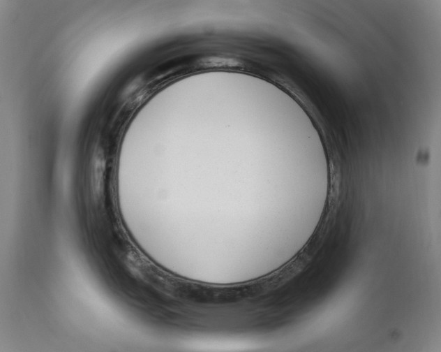 X0000110731151200907101422