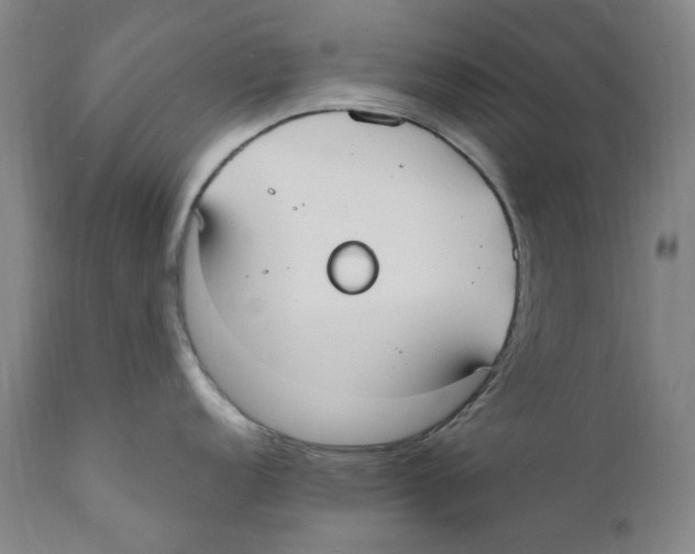 X0000110731152200907101422