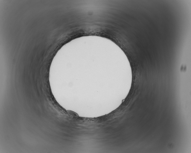 X0000110731153200907101422