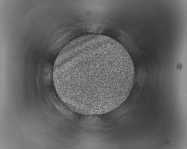 X0000110731154200907101422