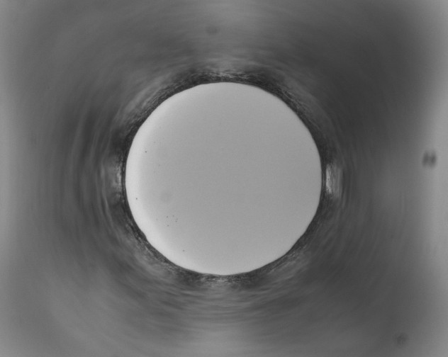 X0000110731155200907101422