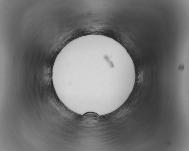 X0000110731156200907101422