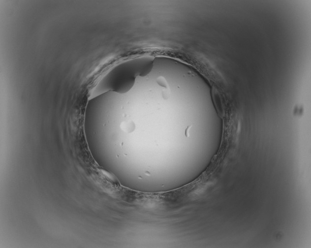 X0000110731157200907101422