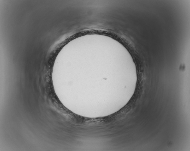 X0000110731159200907101422
