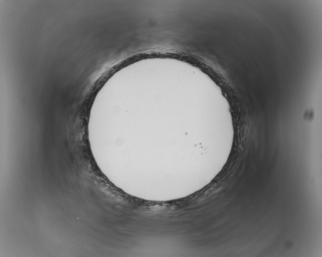 X0000110731160200907101422