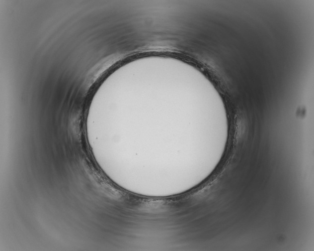 X0000110731162200907101422