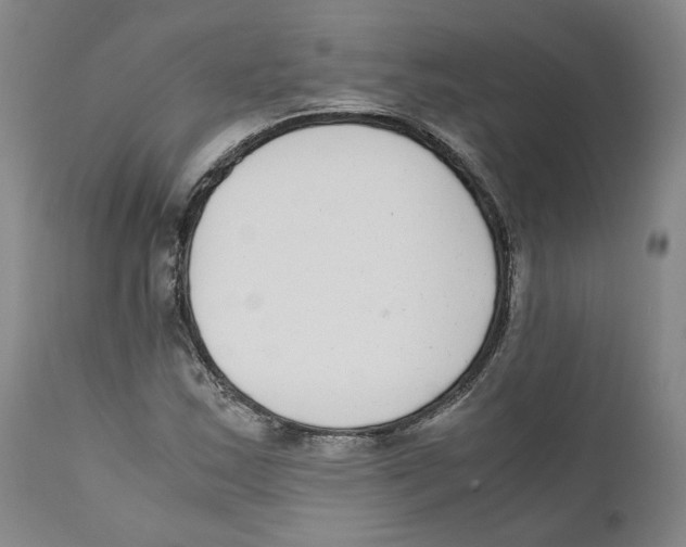 X0000110731163200907101422