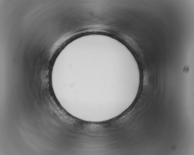 X0000110731164200907101422
