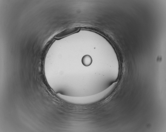 X0000110731165200907101422