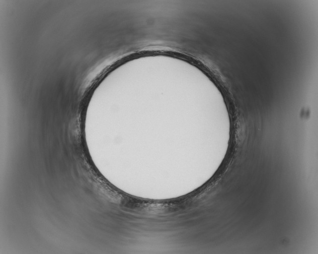 X0000110731167200907101422