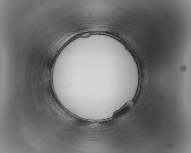 X0000110731169200907101422