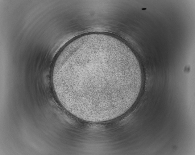 X0000110731170200907101422