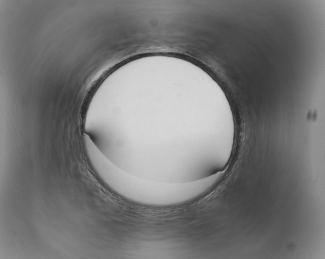 X0000110731173200907101421
