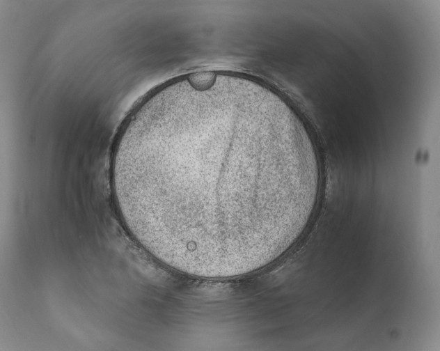 X0000110731174200907101421