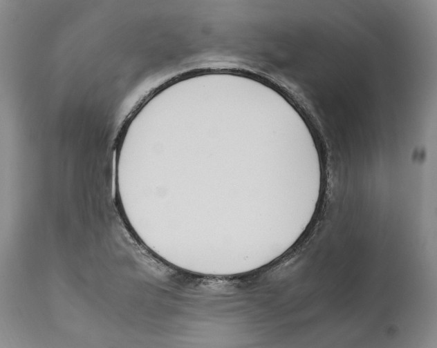 X0000110731175200907101421