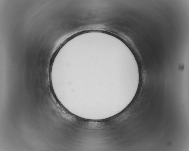 X0000110731176200907101421