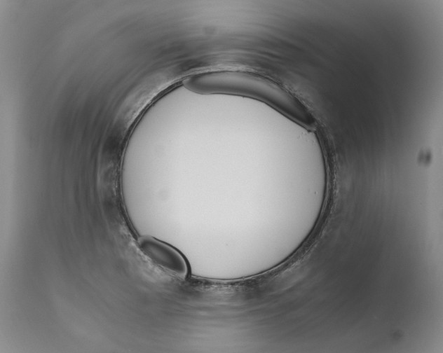X0000110731177200907101421
