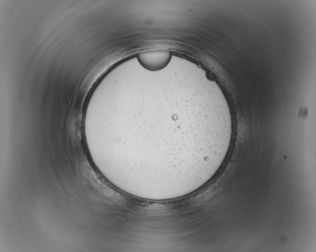 X0000110731178200907101421