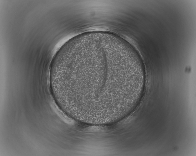 X0000110731179200907101421
