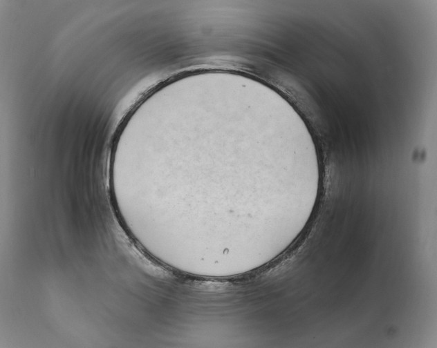 X0000110731180200907101421