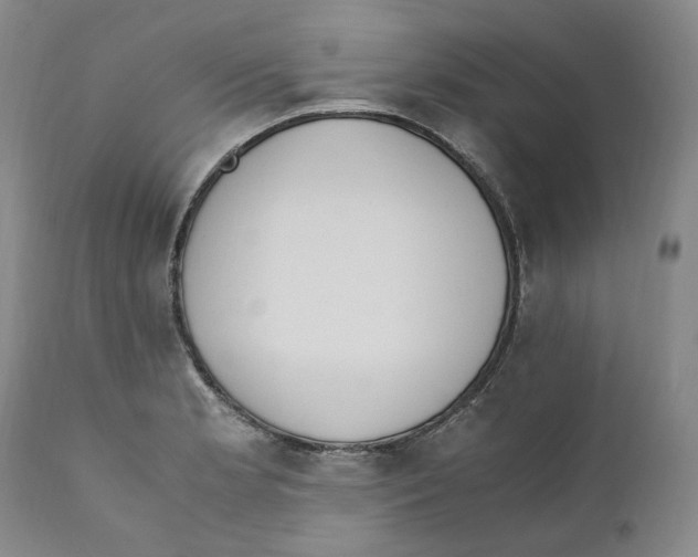 X0000110731181200907101421