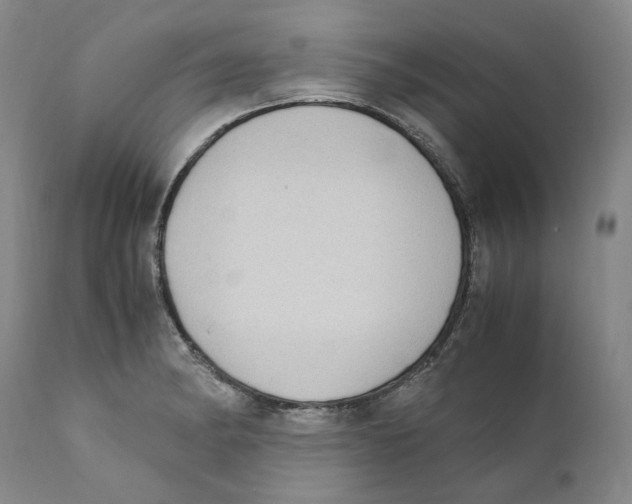 X0000110731182200907101421