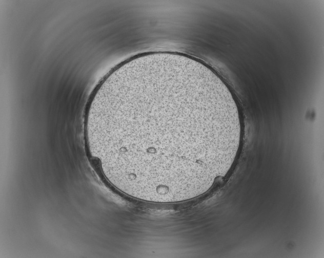 X0000110731184200907101421