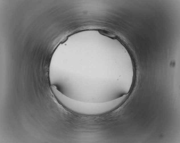 X0000110731185200907101421