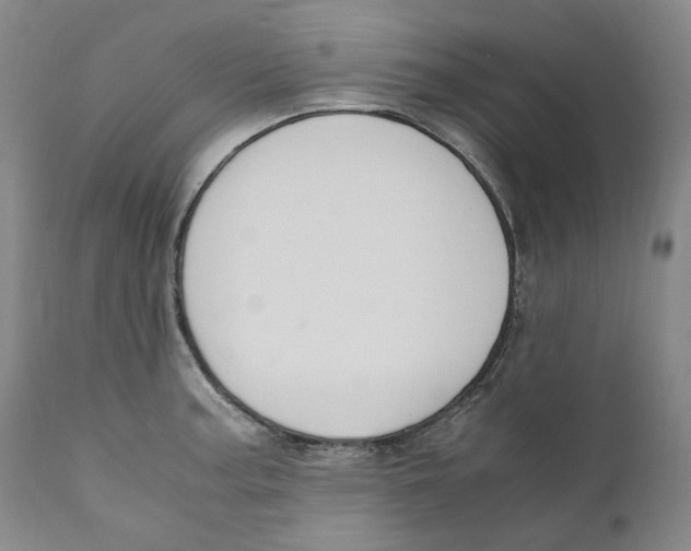 X0000110731187200907101421
