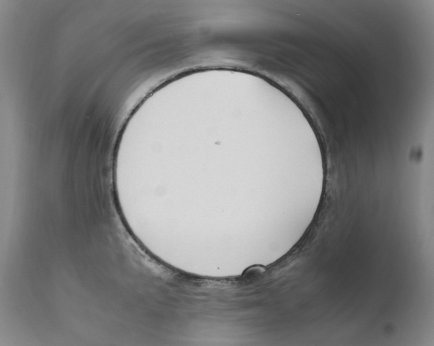 X0000110731191200907101421