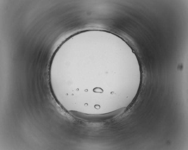 X0000110731192200907101421