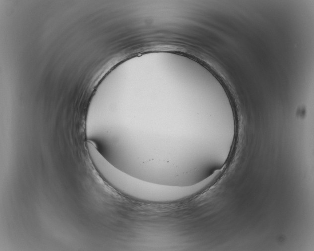 X0000110731193200907101421