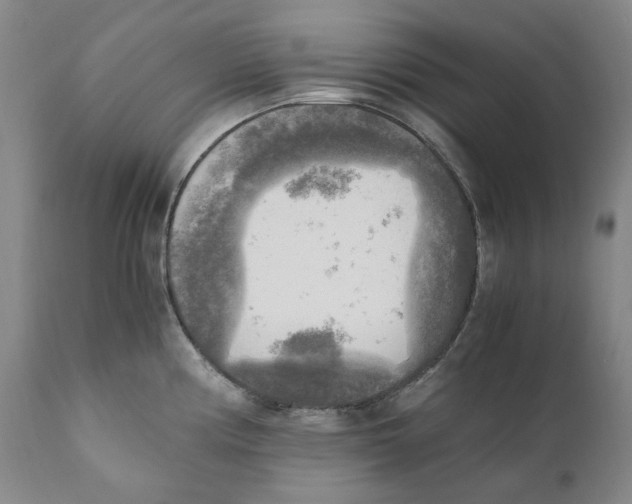 X0000110731194200907101421