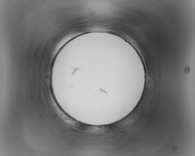 X0000110731195200907101421