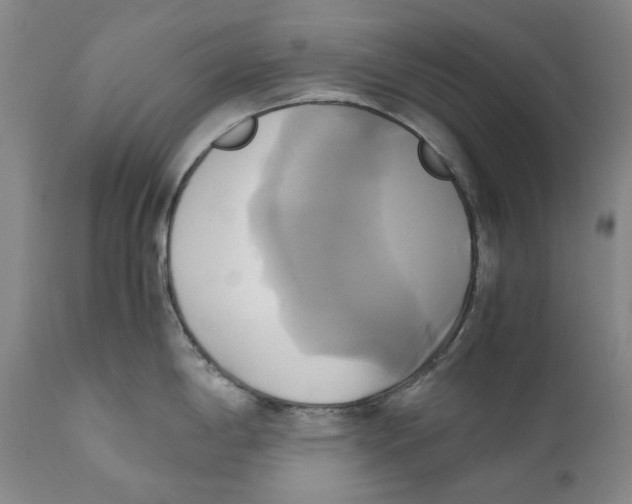X0000110731198200907101421