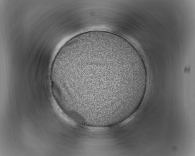 X0000110731200200907101421