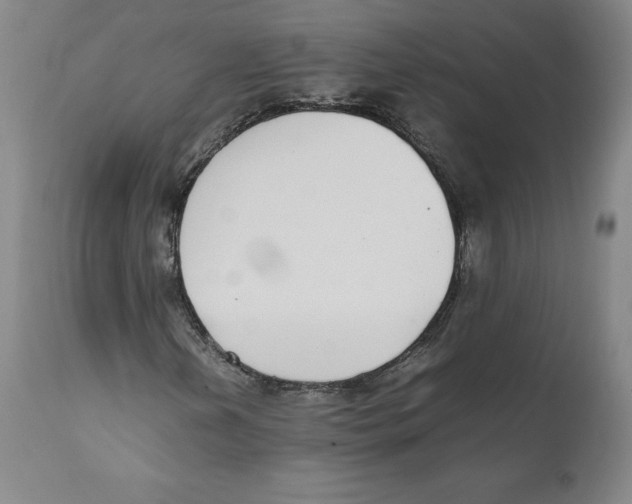 X0000110731202200907101420