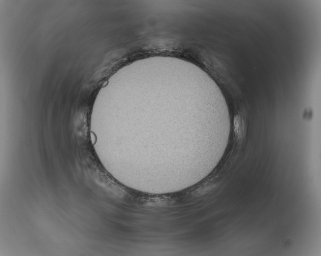 X0000110731203200907101420