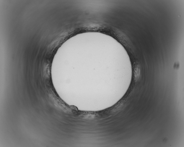 X0000110731204200907101420