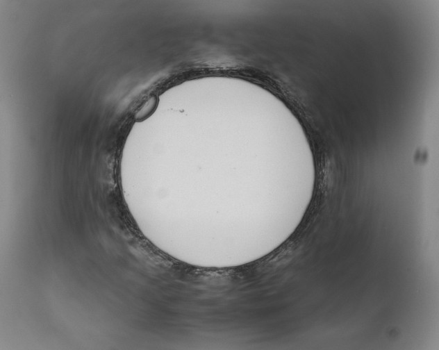 X0000110731205200907101420