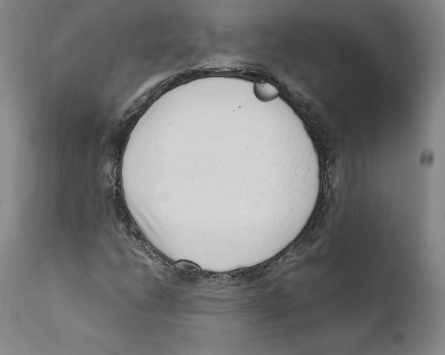 X0000110731206200907101420