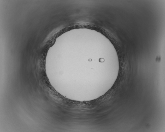 X0000110731207200907101420