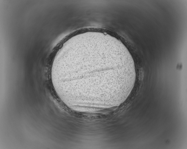 X0000110731208200907101420