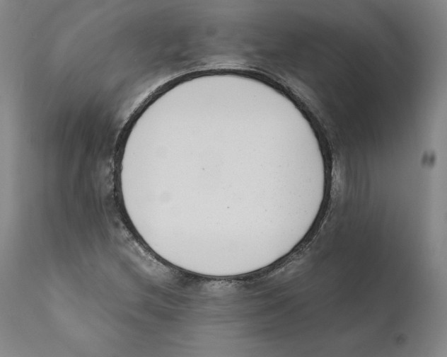 X0000110731212200907101420