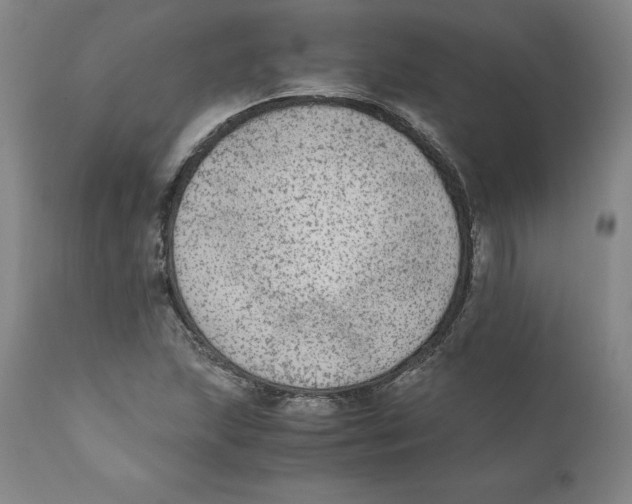 X0000110731215200907101420